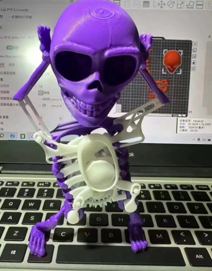 3D Model Mini Skull