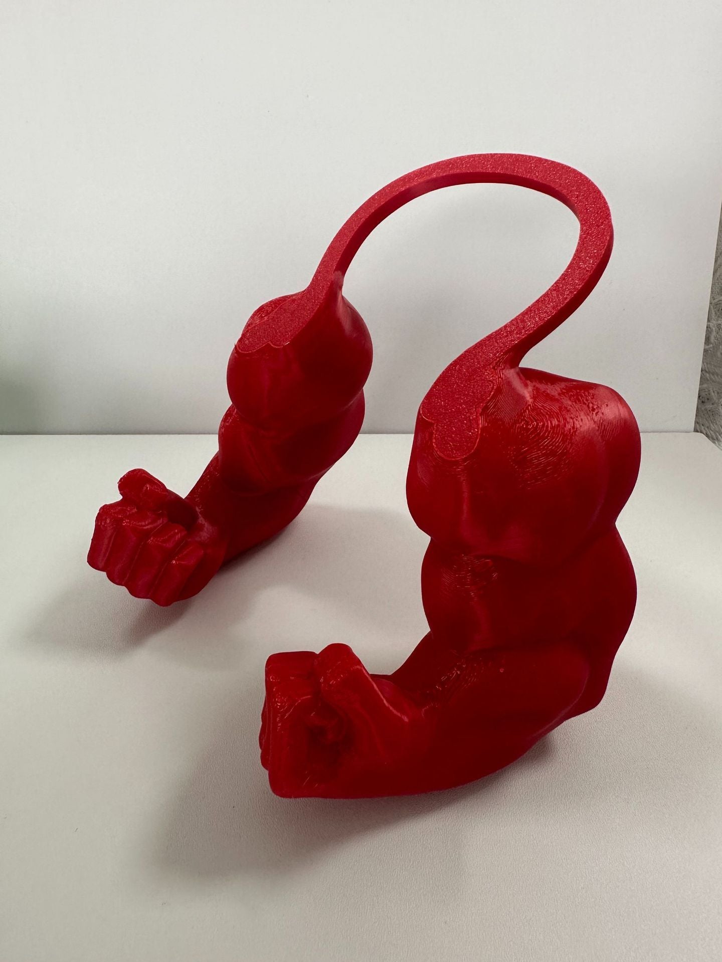 Muezza shoppe red pet decorative halter toy shaped like flexing muscular arms